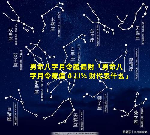 男命八字月令藏偏财「男命八字月令藏偏 🌾 财代表什么」